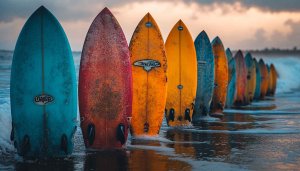 Surfboard Wallpaper: Colorful Surfboards on Beach | Ocean Scenery