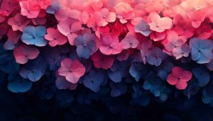 Hydrangea Flower Wallpaper Pink Blue, Floral Background For Desktop