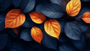 Autumn Leaves Wallpaper: Fall Season, Nature, Desktop Backgrounds