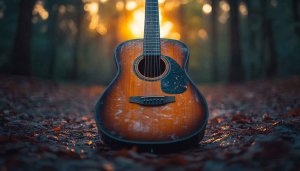 Acoustic Guitar Forest Sunset Mobile Wallpaper | Free Background