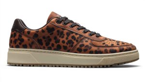Leopard Print Low Top Sneaker Wallpaper, Fashionable Footwear Background