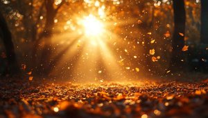 Golden Autumn Forest Landscape 4K Desktop Background Wallpaper