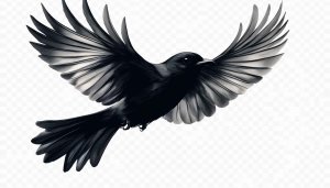 Elegant Raven Flying, Artistic Mobile Wallpaper, Detailed Bird Background