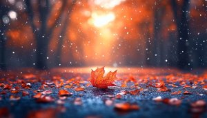 Autumn Leaves Rain Wallpaper 4K Mobile Background Desktop Art