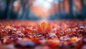 Autumn Maple Leaf Wallpaper 4K Desktop Background Fall Season Scenery